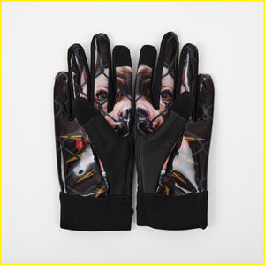 SW/SK Leather Dog Gloves