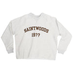 SW 19?? Distressed Raglan Top