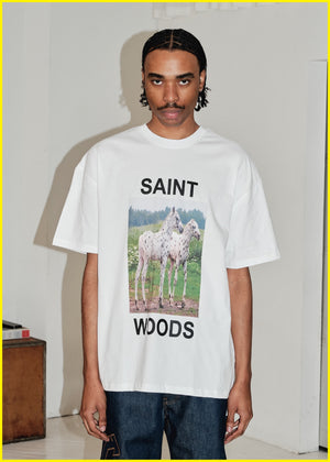 SW Horse Tee